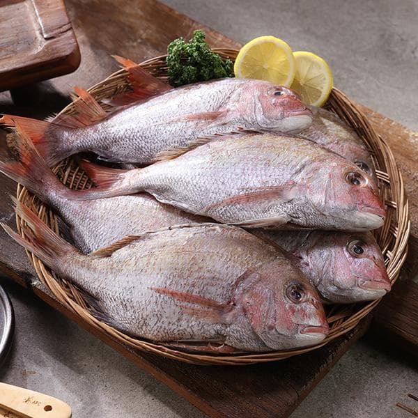 공영쇼핑TV 국내산 자연산 반건조 참돔 300g 7마리