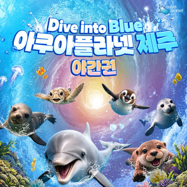 놀유니버스 아쿠아플라넷 제주 야간권 - 최저가 26,000원