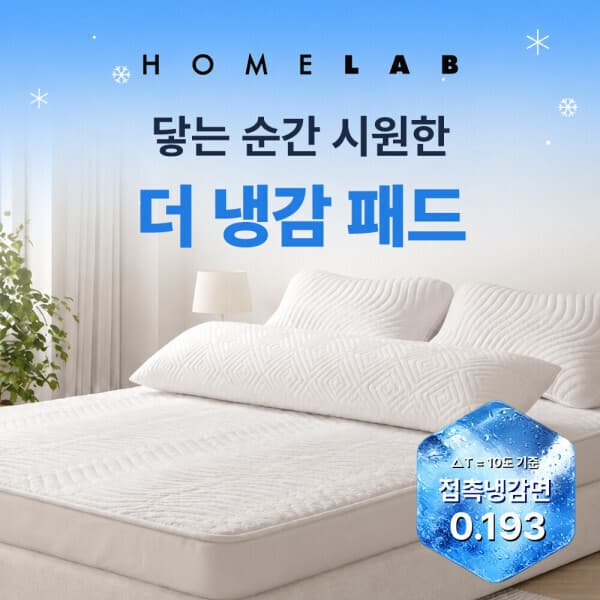 홈랩 홈랩 더냉감 패드 SS/Q/K/SK 기절침구 - 최저가 29,900원