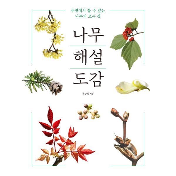 예스24도서 나무 해설 도감
