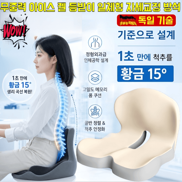 장영트레이드주식회사 독일정형설계 무중력 아이스젤 등받이 자세교정 허리쿠션 - 최저가 31,700원