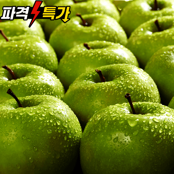 정직농가 청사과 5kg 20-30과 아오리 썸머킹