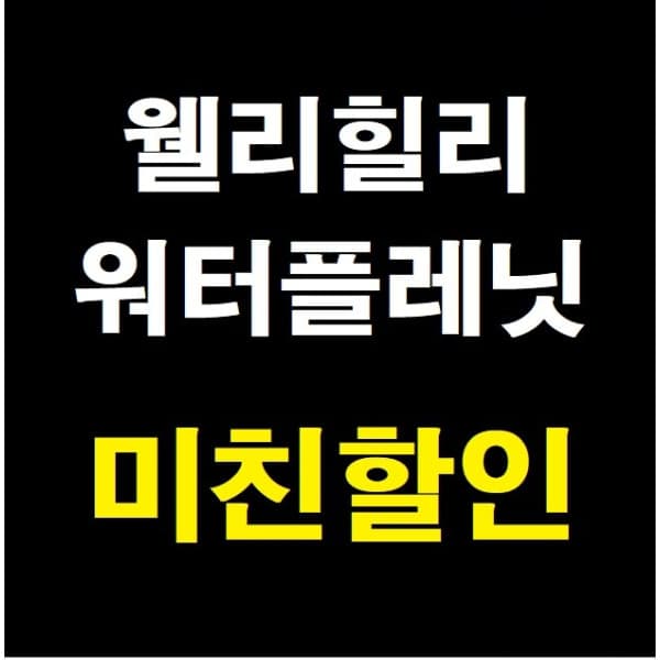 티켓의모든것 웰리힐리파크 워터플래닛 워터파크 골드시즌 하이시즌 종일이용권 - 최저가 48,000원