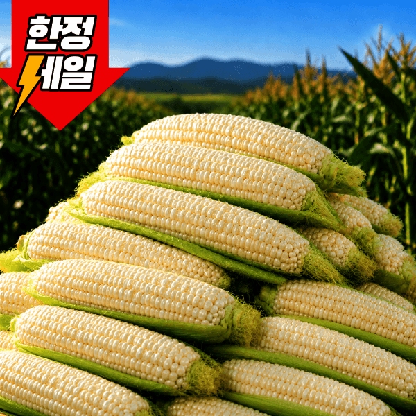 농가직송 국내산 미백 찰 옥수수 30개 17cm 영월 프리미엄