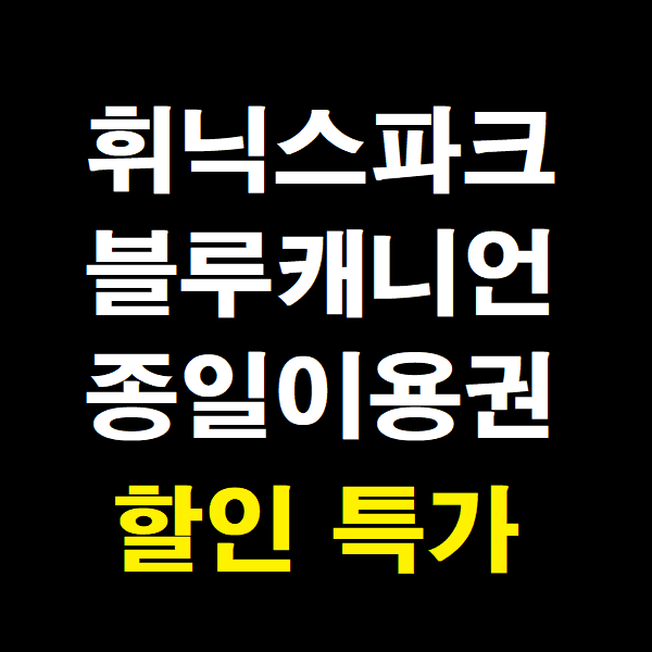티켓의모든것 평창 휘닉스파크 블루캐니언 워터파크 종일권