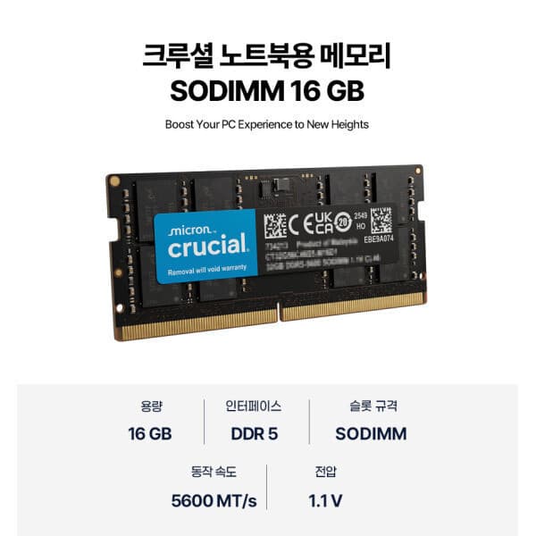 블루죤스토어 마이크론 Crucial DDR5-5600 CL46 16GB 노트북용