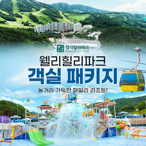 코어티켓 웰리힐리파크 워터파크 익스트림 객실 패키지 - 최저가 127,000원