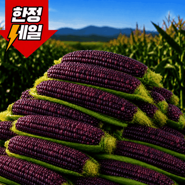 농가직송 국내산 흑찰 옥수수 30개 17cm 특품