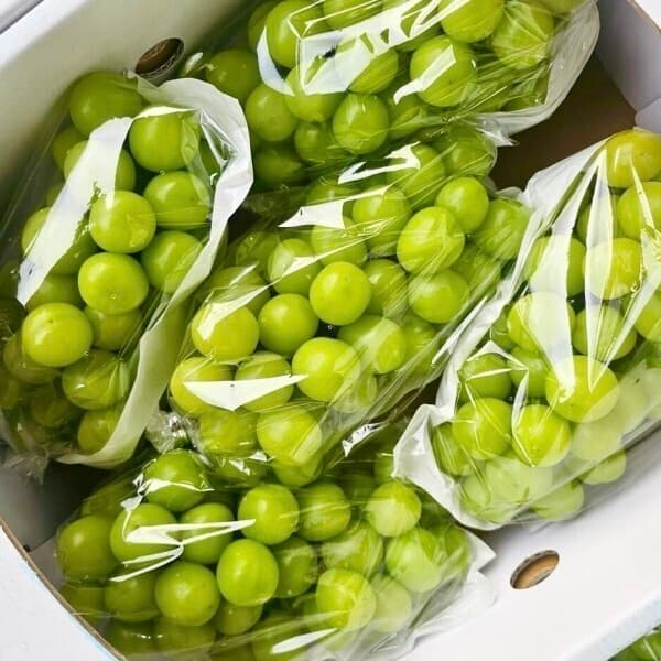 프로프룻 유명산지 샤인머스켓 2kg 고당도