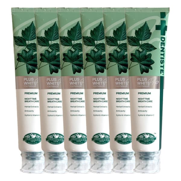 (주)제이제이몰 SIAM COSMECEUTICAL 덴티스테 플러스화이트 프로 치약 200g 6개