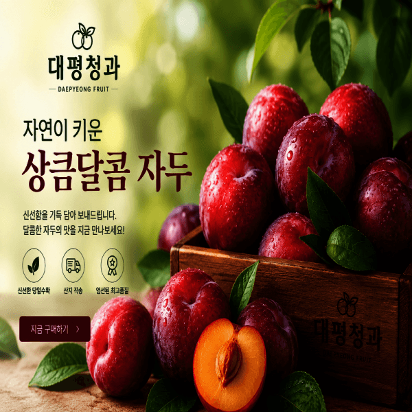 옥산농원 자두 추희 3kg