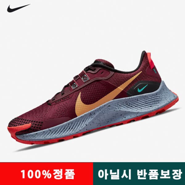 lisuqun03 나이키 페가수스 트레일 3 다크 브라운 DA8697-600