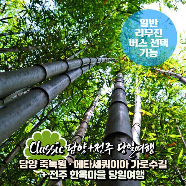 파랑새투어 담양 죽녹원+메타세쿼이아길+전주 한옥마을 당일여행(일반/리무진 선택) - 최저가 46,900원