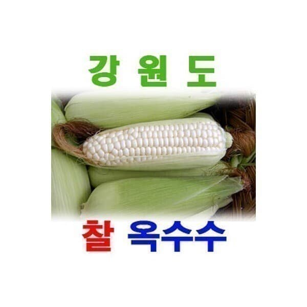 js-shop 강원도 정선 찰옥수수 25개