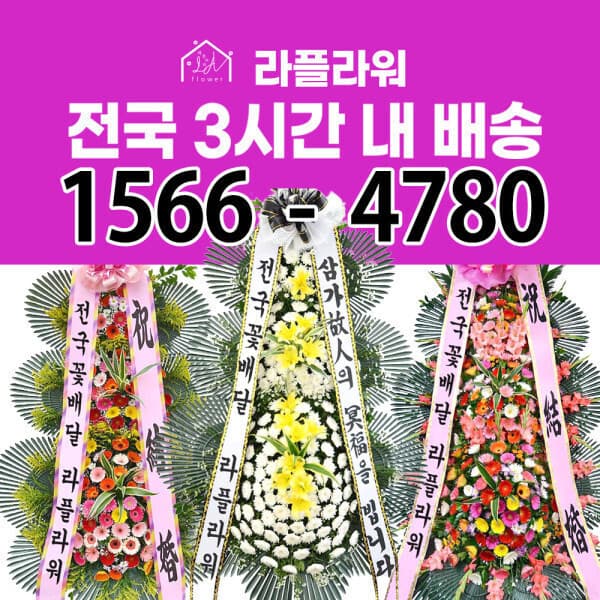 라플라워_ 축하화환 근조화환 장례식장화환 결혼식화환 - 최저가 48,000원