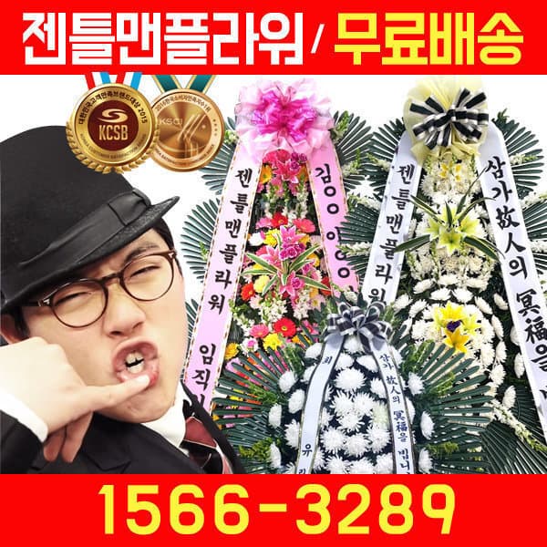 젠틀맨플라워 젠틀맨플라워 전국화환배달서비스 축하화환 근조화환 - 최저가 59,000원