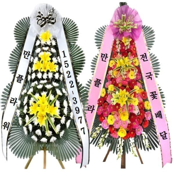 만플라워 만플라워 축하 근조화환 결혼 장례조화 개업 꽃배달 - 최저가 49,900원