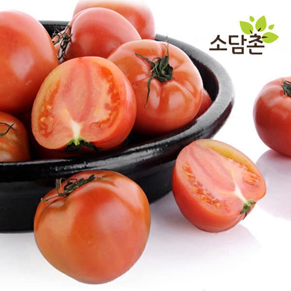 소담촌 국내산 찰토마토 5kg 소과 - 최저가 12,900원
