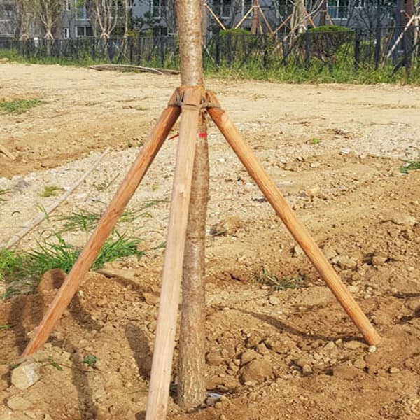 왁스콜렉션 지주목(삼발이) 40mm 150cm 1조(3개) - 최저가 31,000원