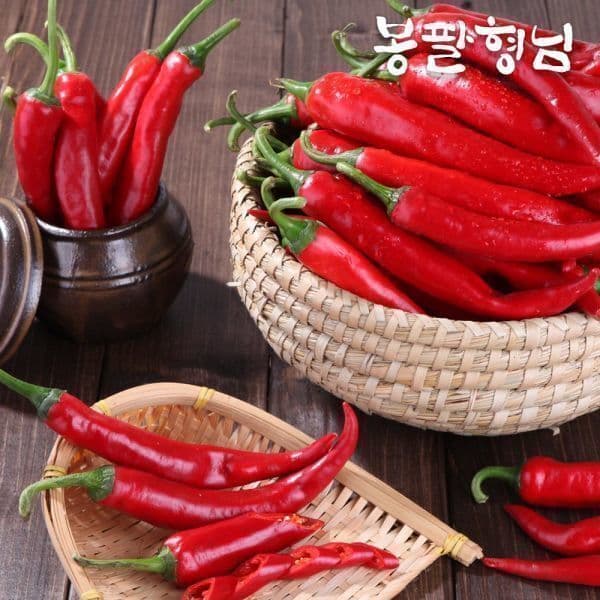 소이장터 국내산 홍고추 10kg 당일수확 - 최저가 46,900원