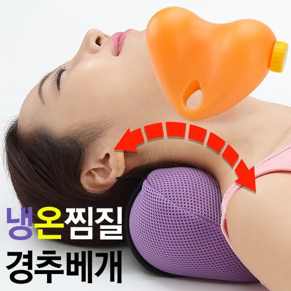 승리생활건강 닥터거북이 핫앤쿨 경추베개 - 최저가 19,800원