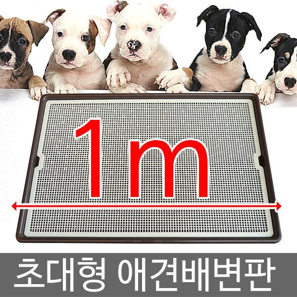 개통령09 그랜드 배변판 AMT-1100 - 최저가 56,800원