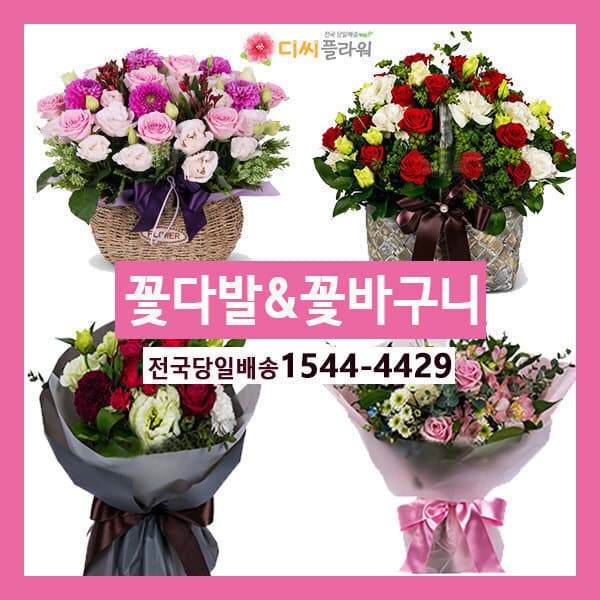 디씨플라워 꽃바구니 꽃다발 꽃배달