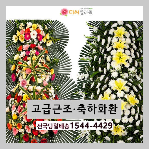 디씨플라워 근조/축하화환 개업/결혼/장례 - 최저가 85,000원