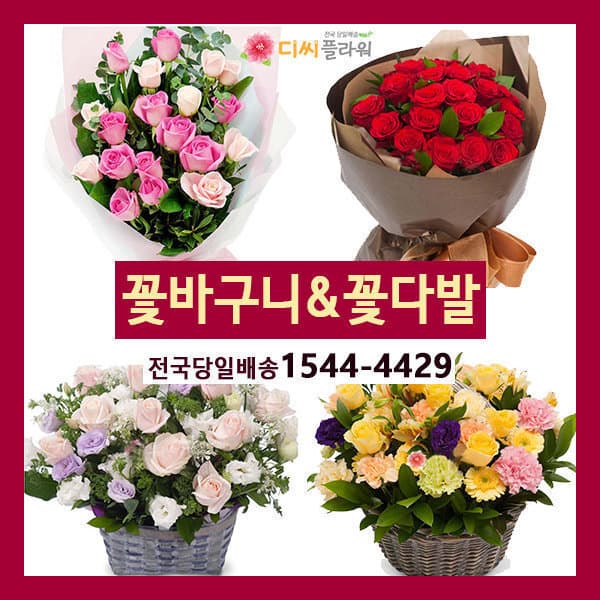 디씨플라워 꽃바구니/꽃다발 - 최저가 42,250원