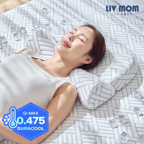 리브맘 듀라쿨 아이스냉감 메모리폼 바른자세 경추베개